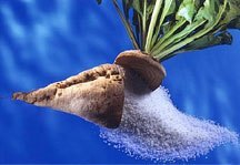 ISOMALT Pure beet sugar