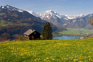 Switzerland_Valley